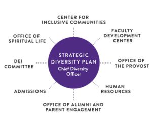 Strategic Diversity Plan Chart